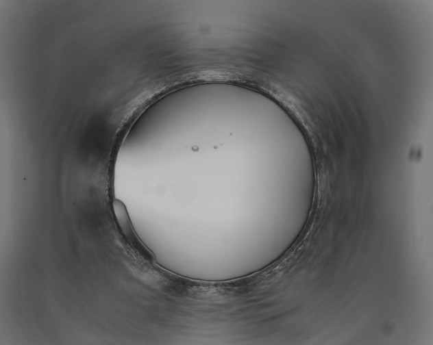 X0000090740297200708031551