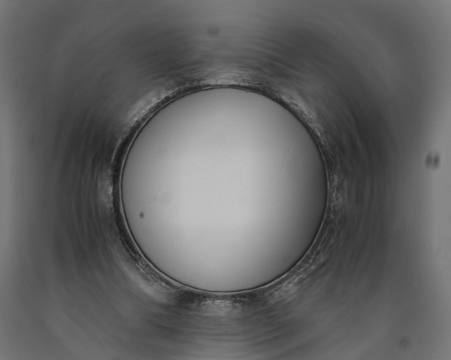 X0000090740298200708031551