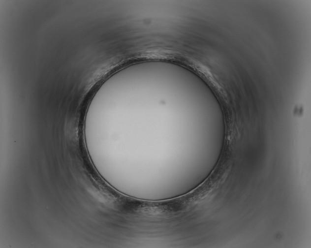 X0000090740299200708031551