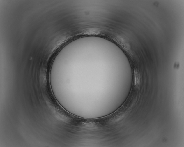 X0000090740300200708031551