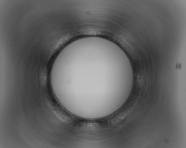 X0000090740304200708031551