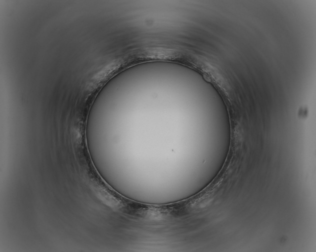 X0000090740305200708031551