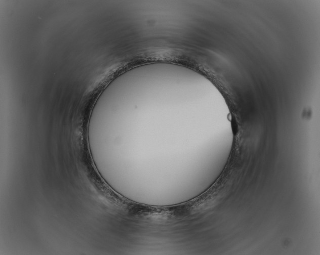 X0000090740306200708031551