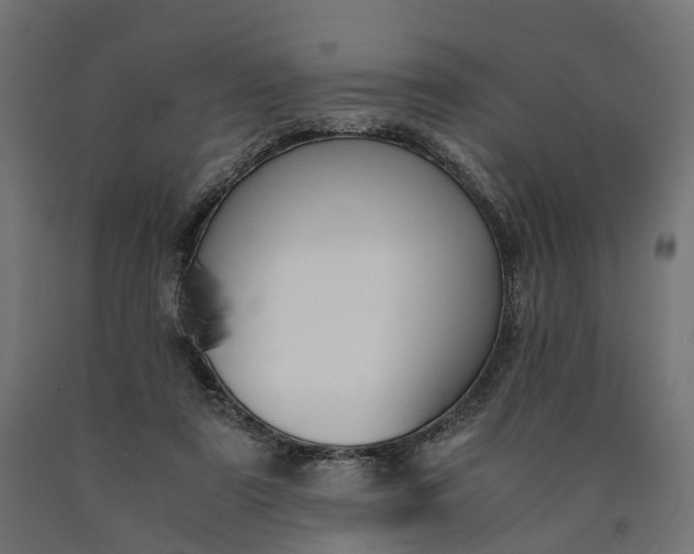 X0000090740307200708031551