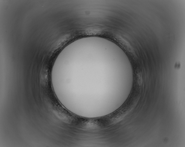 X0000090740308200708031551