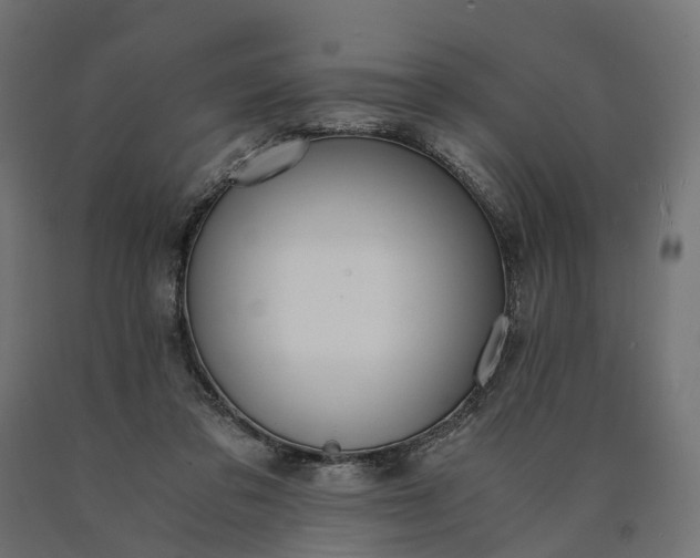 X0000090740309200708031551