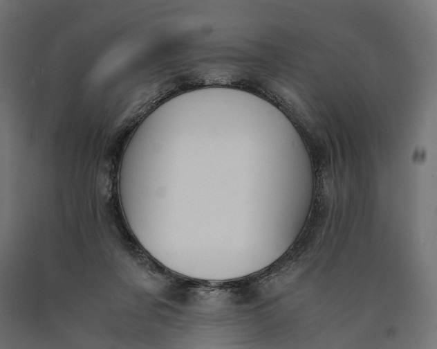 X0000090740311200708031551