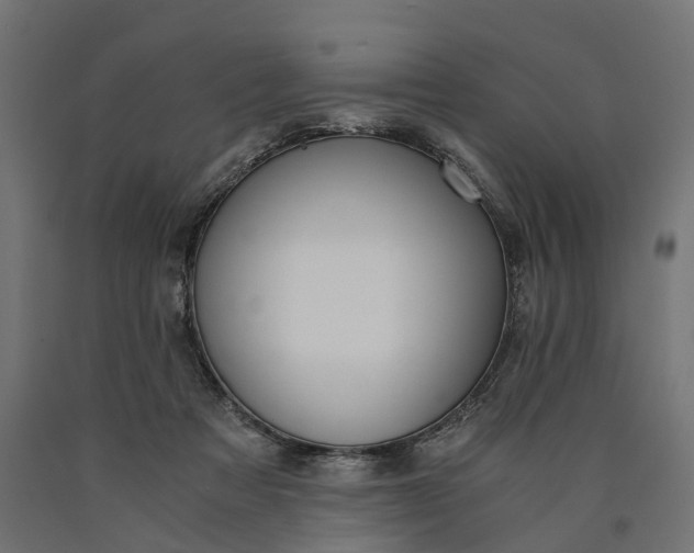 X0000090740313200708031551