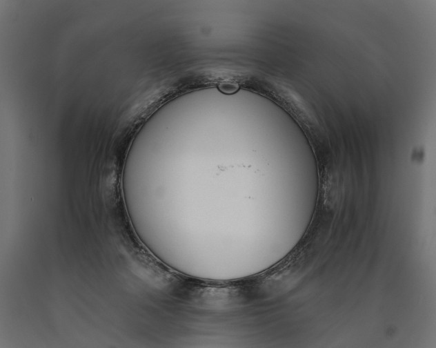 X0000090740314200708031551