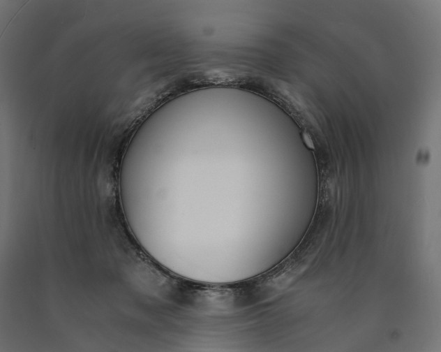 X0000090740317200708031551