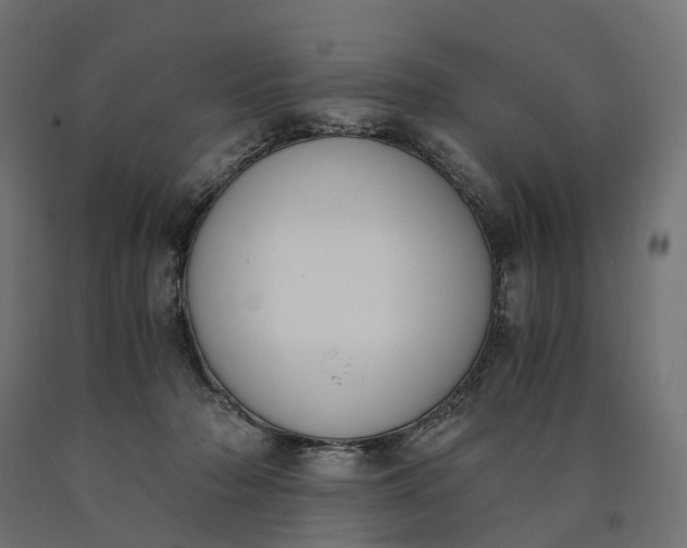 X0000090740318200708031551