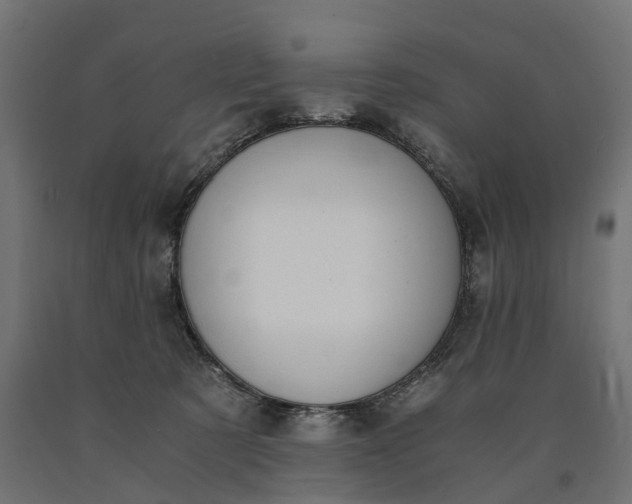 X0000090740321200708031551