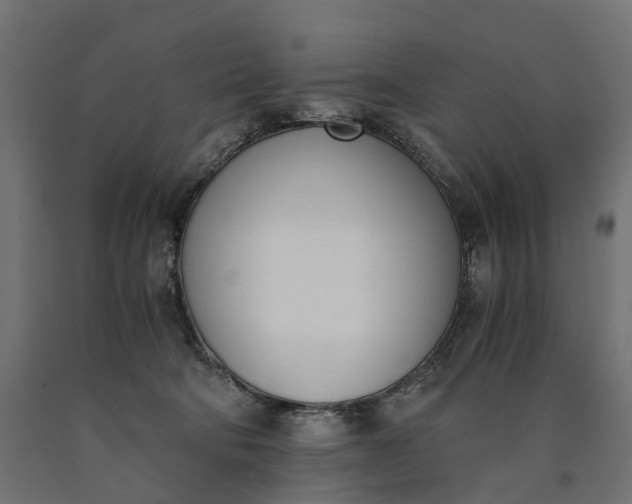 X0000090740322200708031551