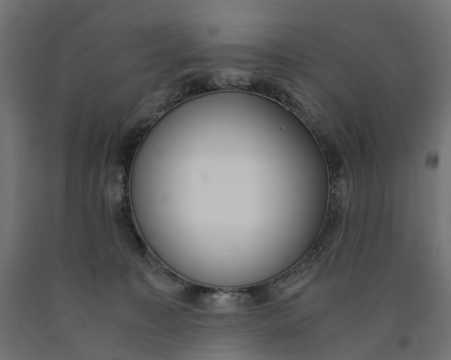 X0000090740323200708031551