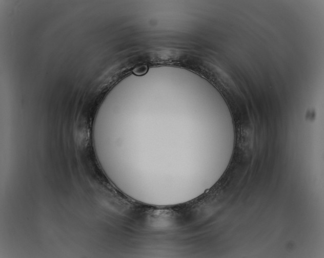 X0000090740324200708031551