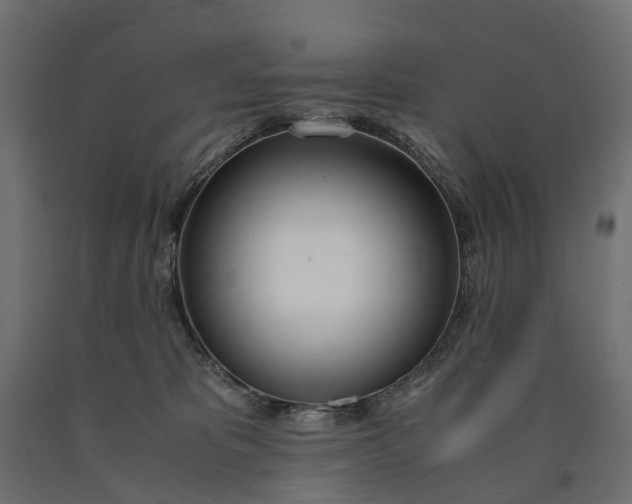 X0000090740325200708031551