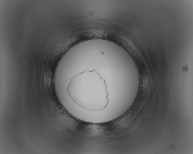 X0000090740326200708031551