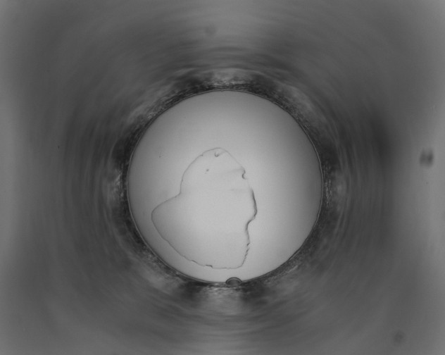 X0000090740327200708031551