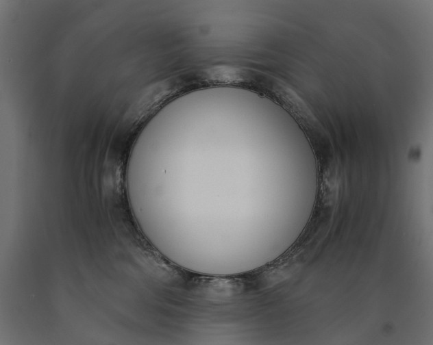 X0000090740330200708031551