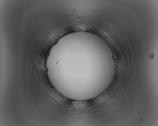 X0000090740331200708031551