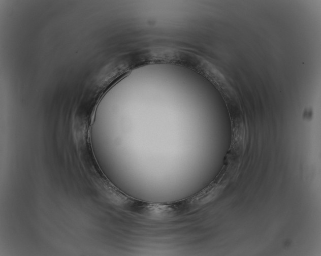 X0000090740333200708031551