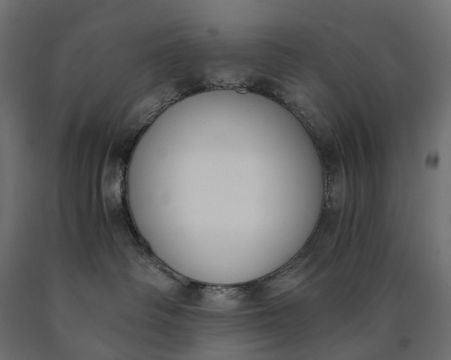 X0000090740334200708031551