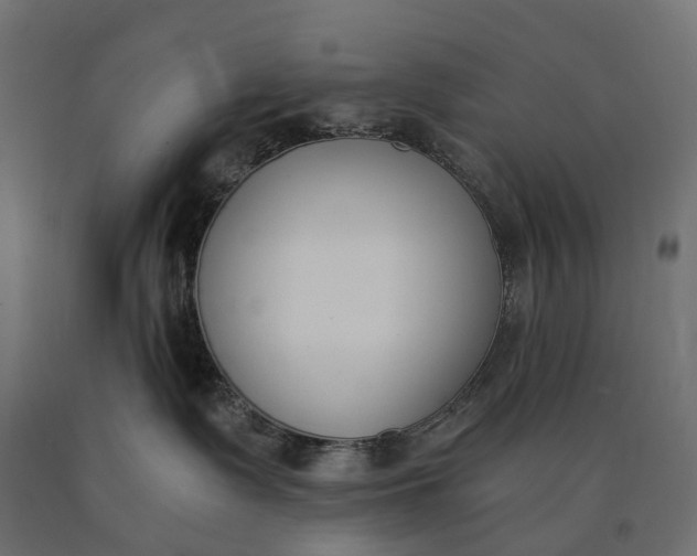 X0000090740335200708031551