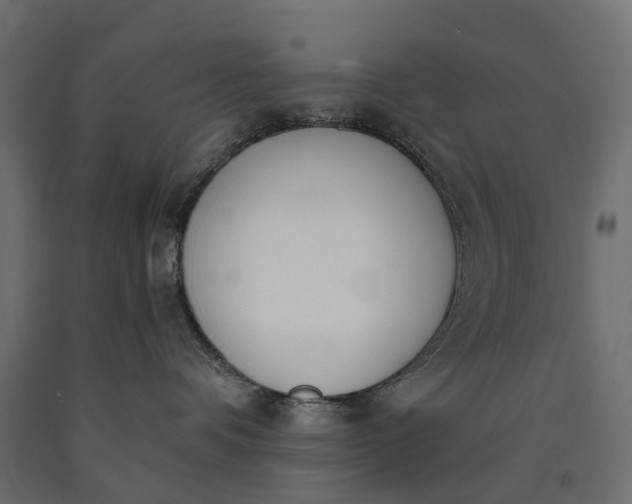 X0000090740336200708031551