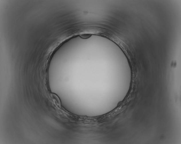 X0000090740337200708031550