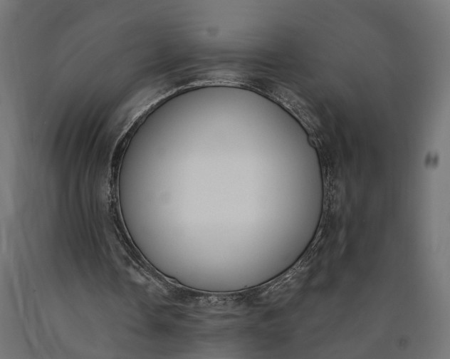 X0000090740338200708031550