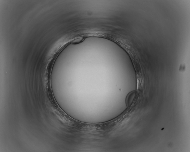 X0000090740339200708031550