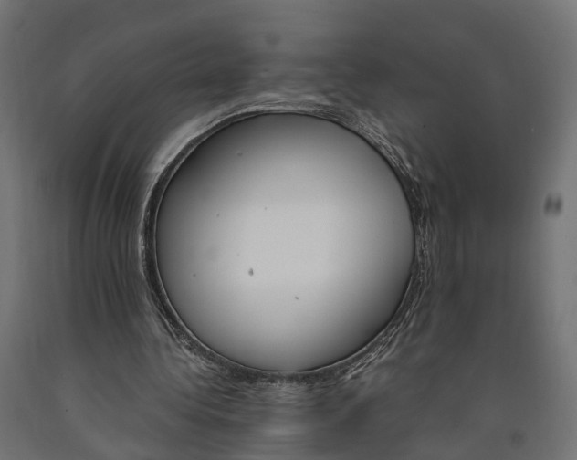 X0000090740340200708031550