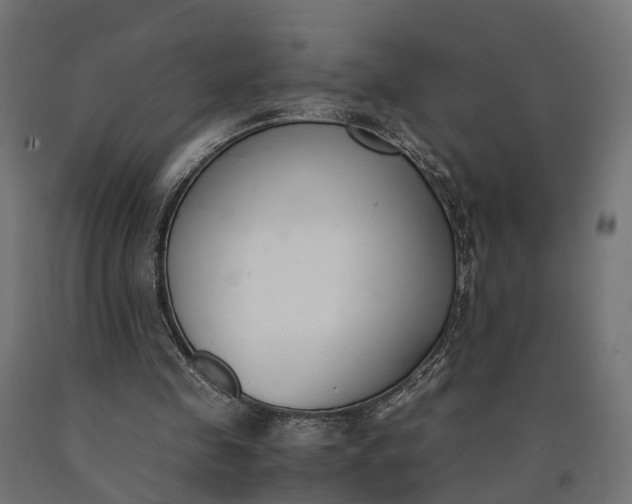 X0000090740341200708031550