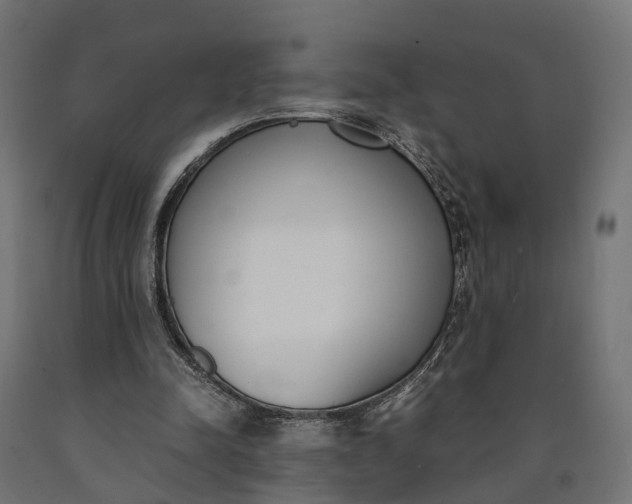 X0000090740342200708031550