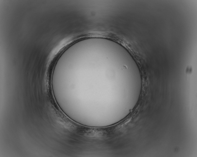 X0000090740343200708031550