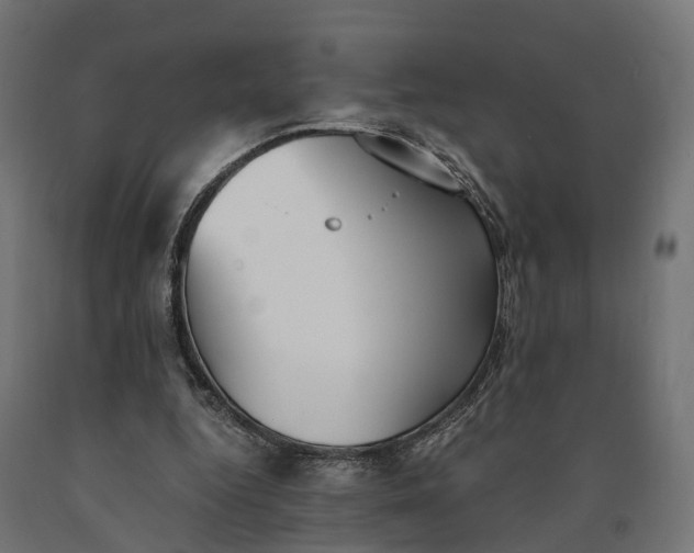 X0000090740344200708031550