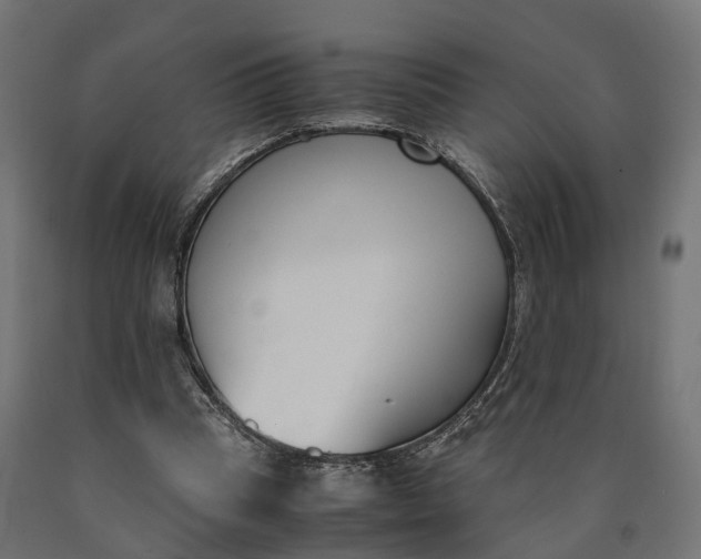 X0000090740345200708031550