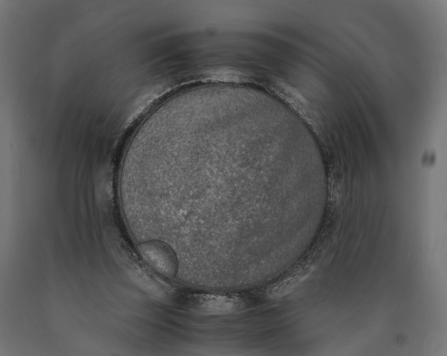 X0000090740347200708031550