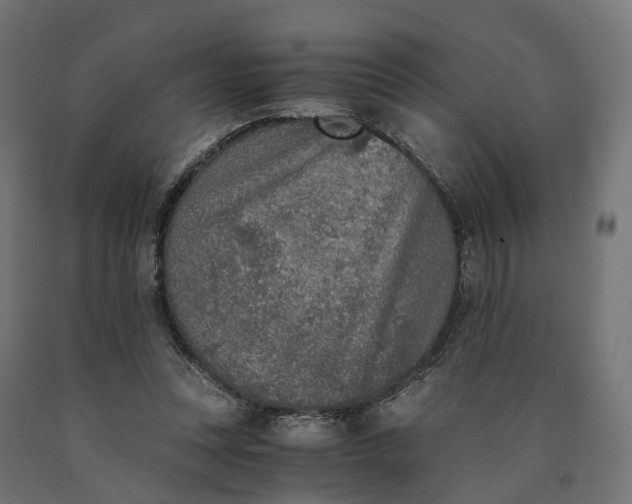 X0000090740351200708031550