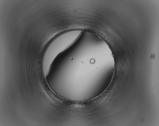 X0000090740352200708031550