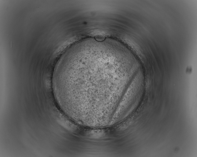 X0000090740353200708031550