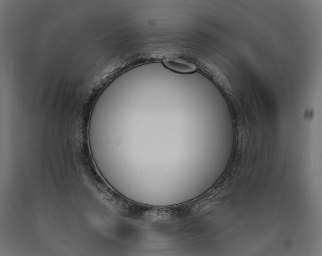 X0000090740354200708031551