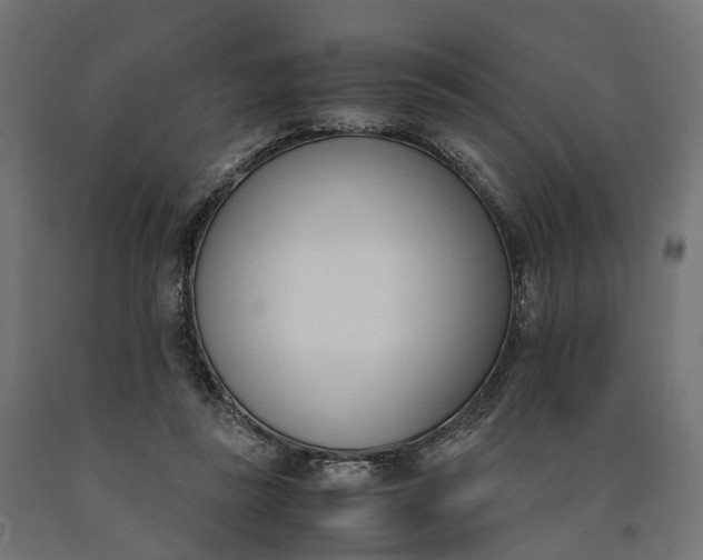 X0000090740355200708031551