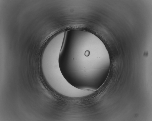 X0000090740356200708031551