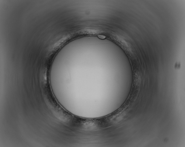 X0000090740358200708031551