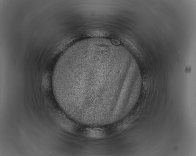 X0000090740359200708031551