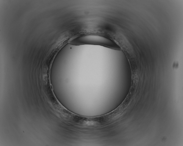 X0000090740360200708031551