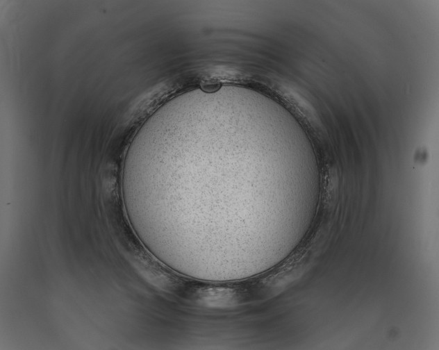 X0000090740361200708031551