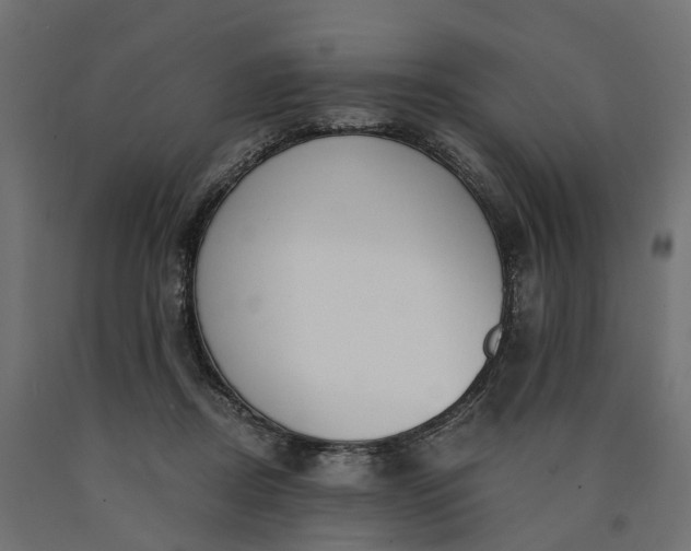 X0000090740362200708031551