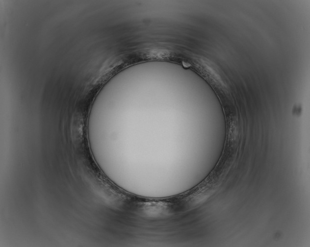 X0000090740363200708031551